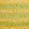 Pistacho con chocolate blanco +3,00€